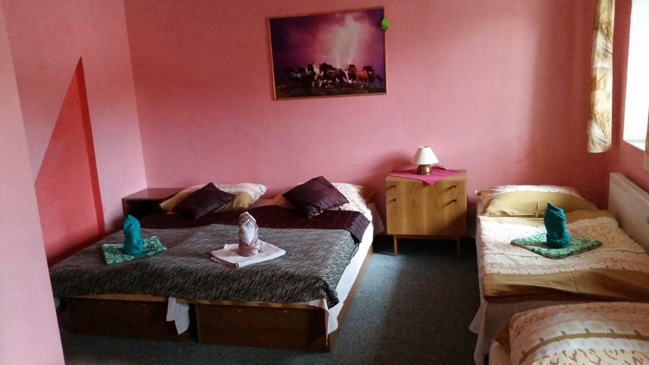 Penzion Pegas Depoltovice Nová Role Exteriér fotografie
