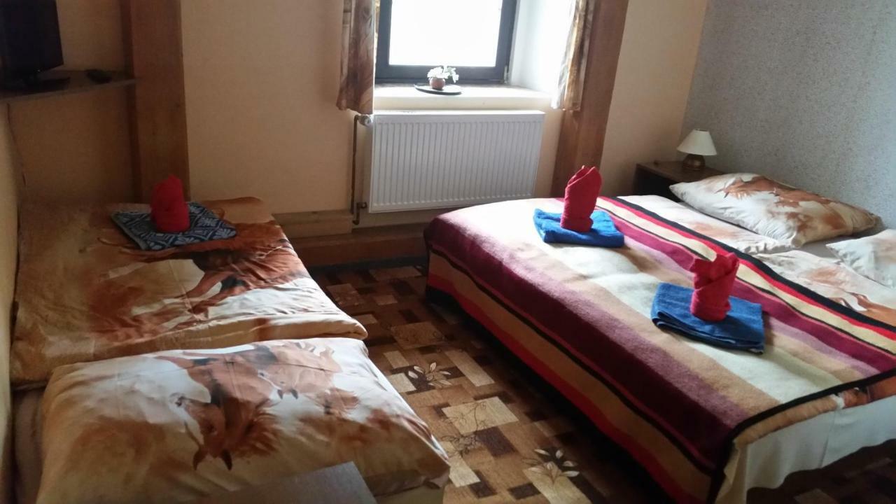 Penzion Pegas Depoltovice Nová Role Exteriér fotografie